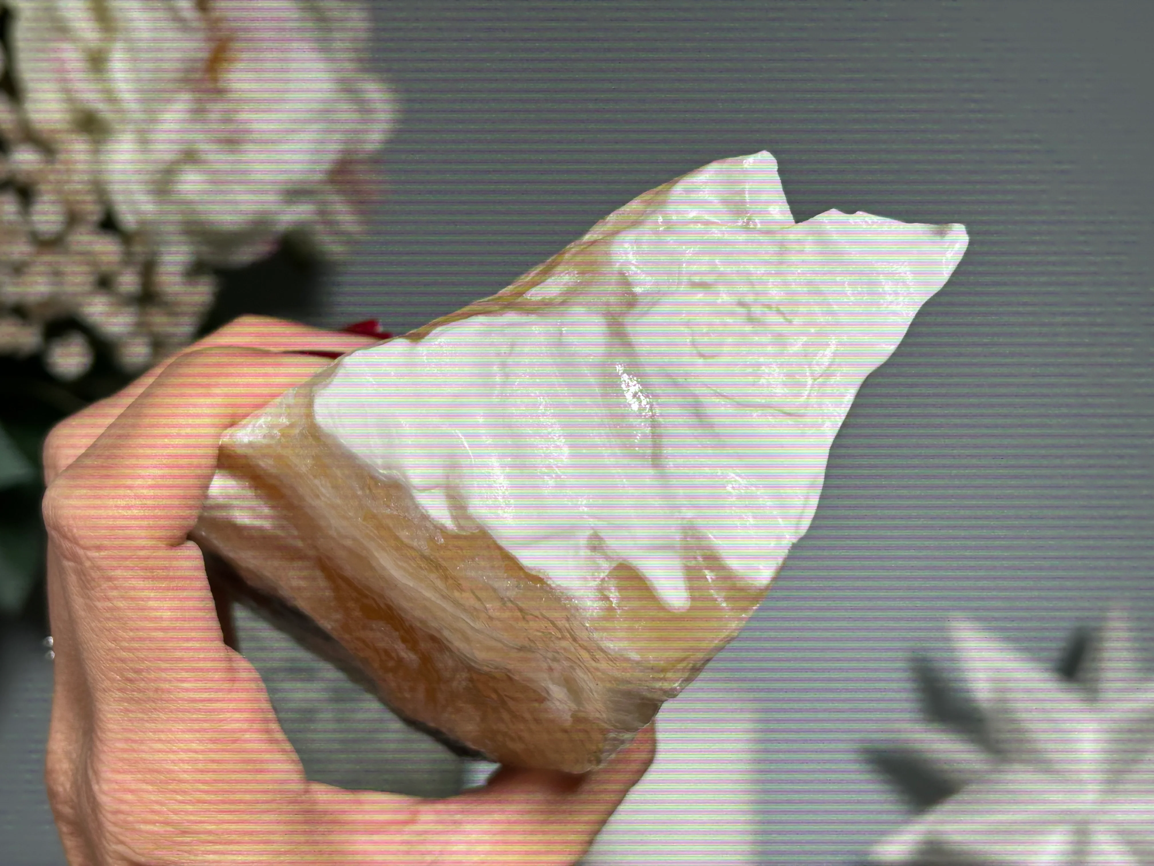Thumbnail 21